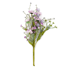 Daisy Bush
